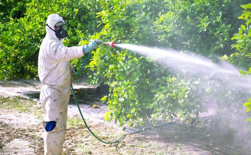 Fumigation Service in Phoenix, AZ