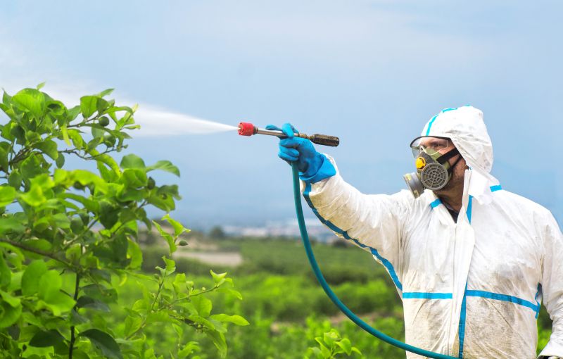 Roach Fumigation in Tampa, FL