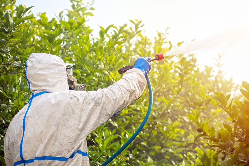 Spider Fumigation Service in Winston Salem, NC